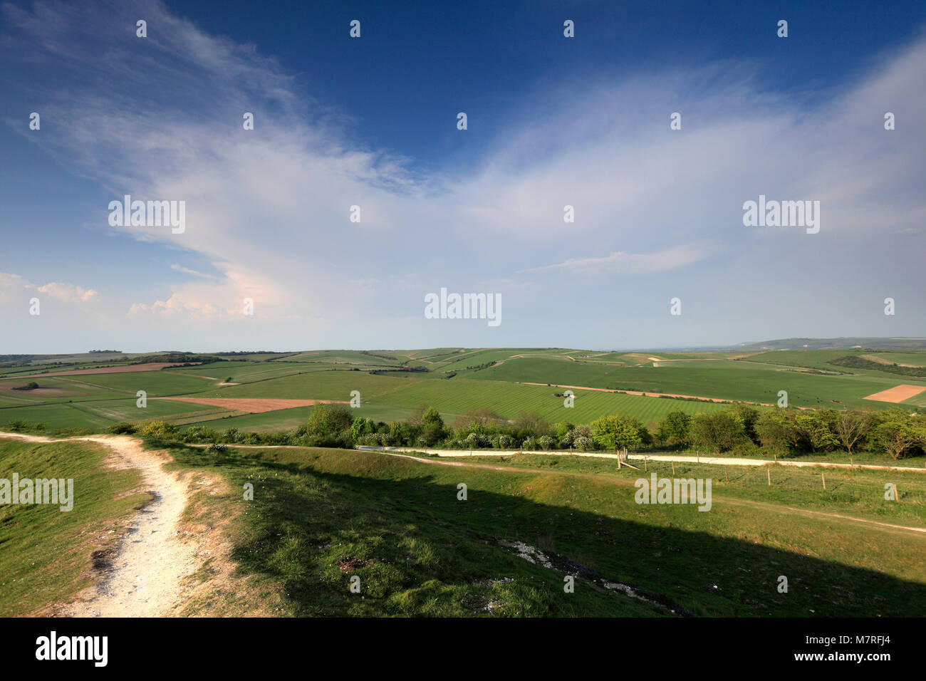 Summer view of the Findon Downs, near the village of Findon, South Downs National Park, Sussex, England, UK Stock Photo