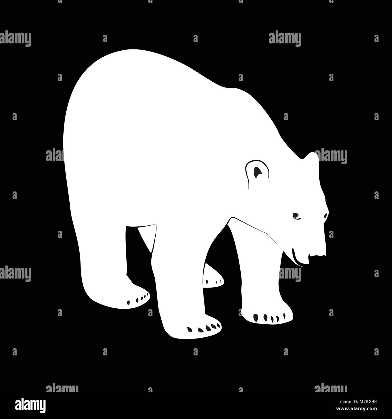 Black and white Illustration of polar bear on dark background Stock ...