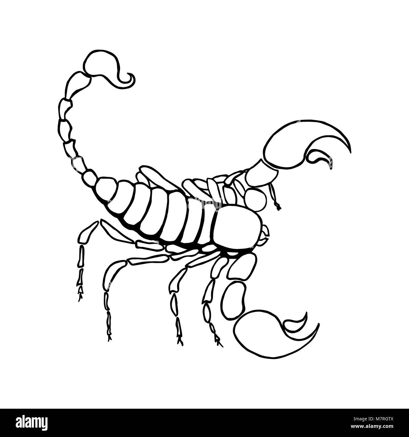 Знак зодиака Скорпион детский рисунок
