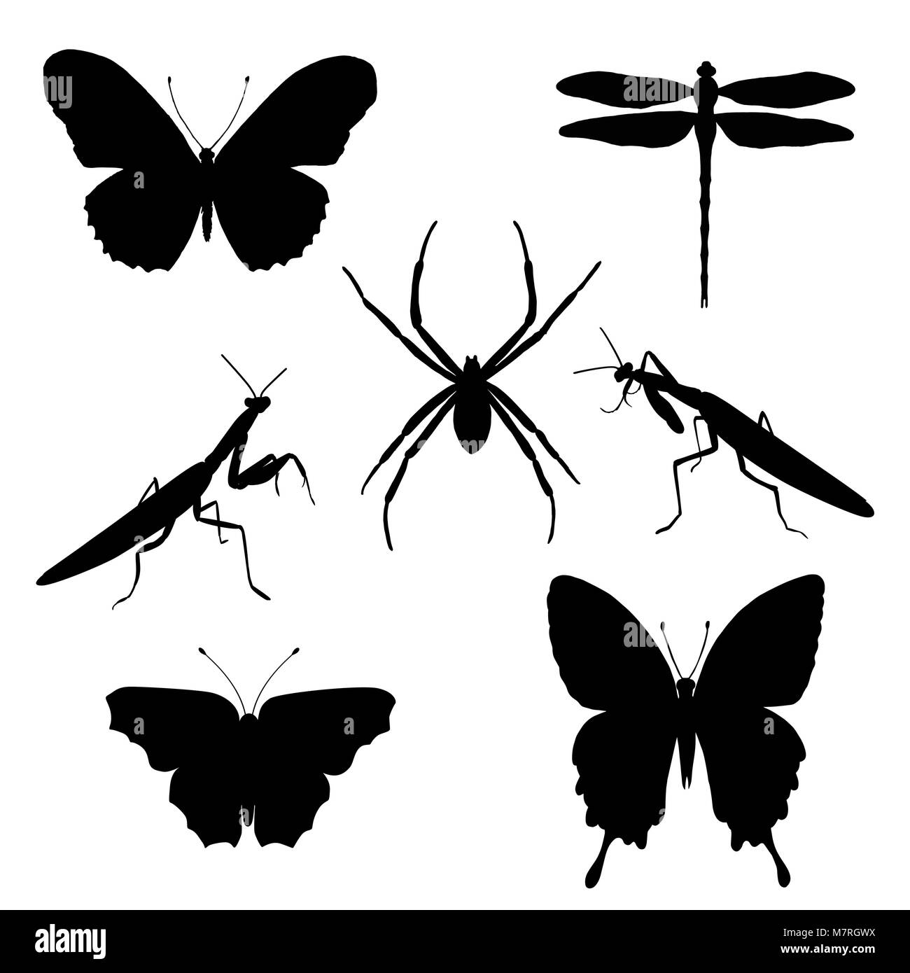 Vector set of silhouettes of insects - butterflies, spider, mantises, dragonfly. Insect silhouette Stock Vector