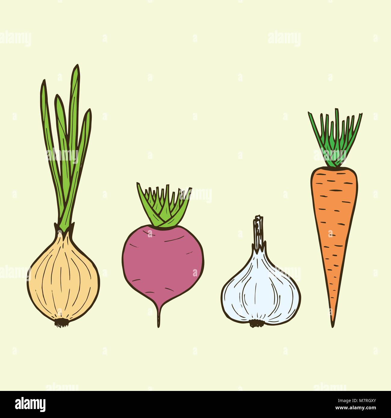 Зеленый лук морковь свекла овощи вектор. Картина для кухни пучок с овощами свекла, морковь, лук нарисовать.