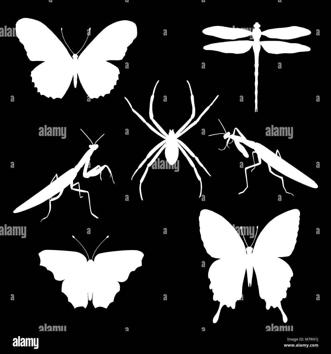 Vector set of silhouettes of insects - butterflies, spider, mantises, dragonfly. Insect silhouette Stock Vector