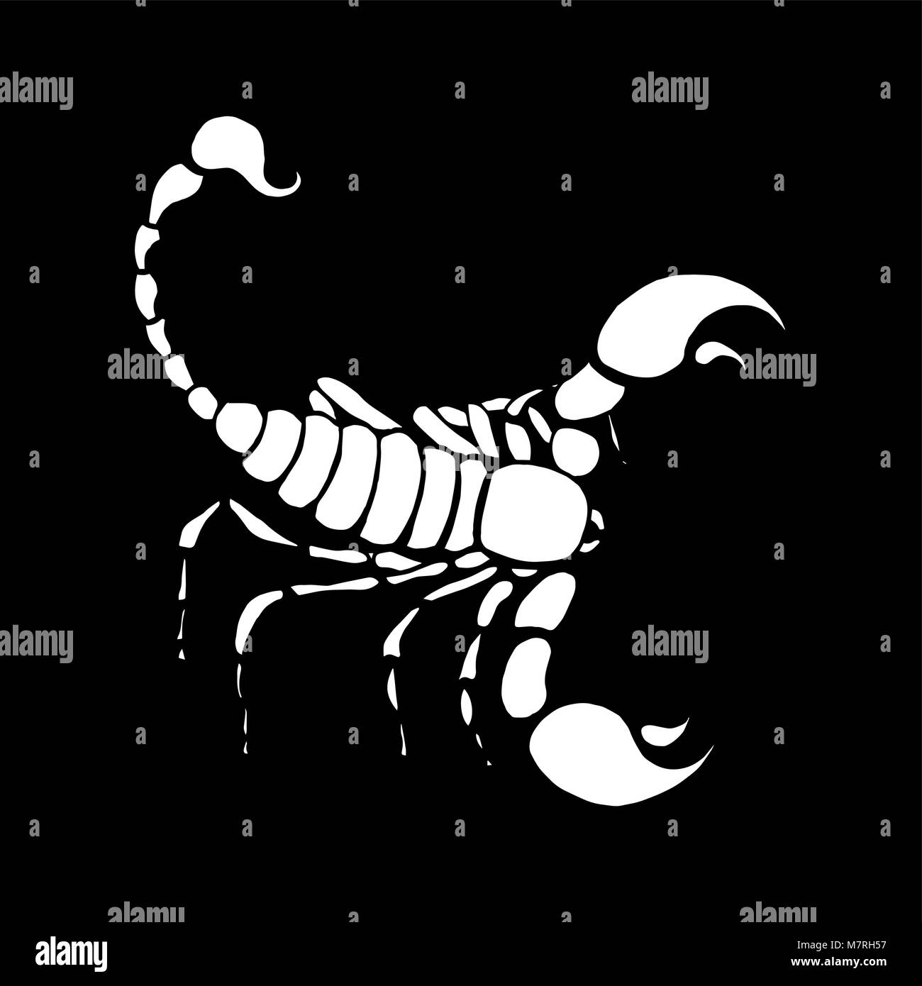 Scorpio zodiac sign in horoscope. Vector hand drawing scorpion Stock Vector