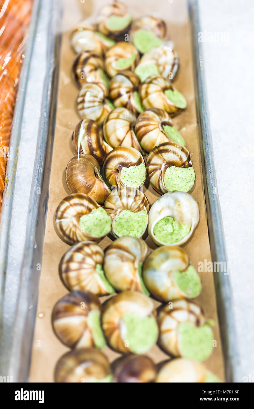 Many raw escargot prepared shells snail with green butter parsley