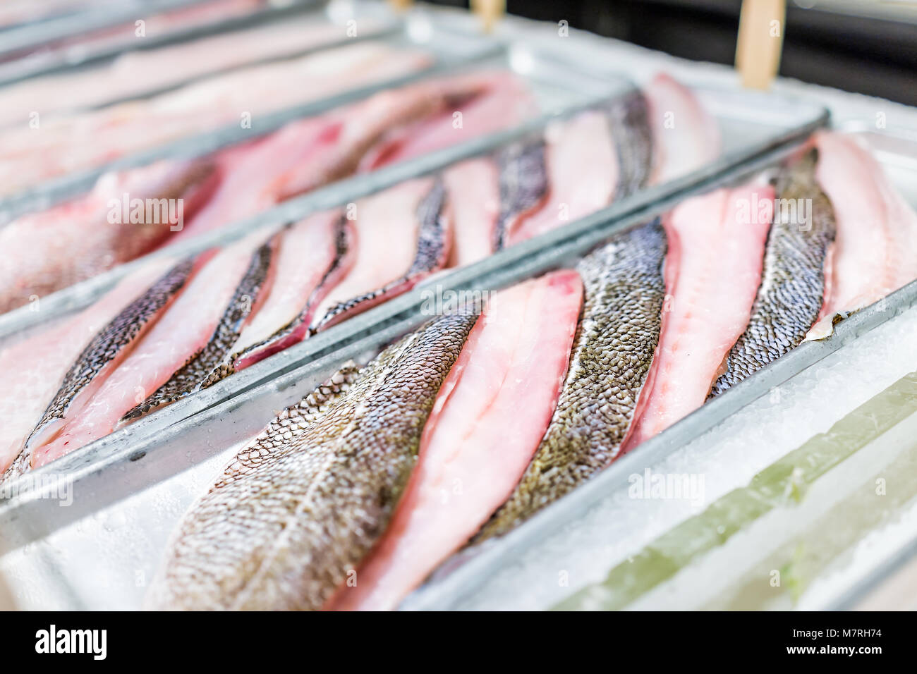Closeup of many fresh sole fish fillets pink meat raw scales skin in