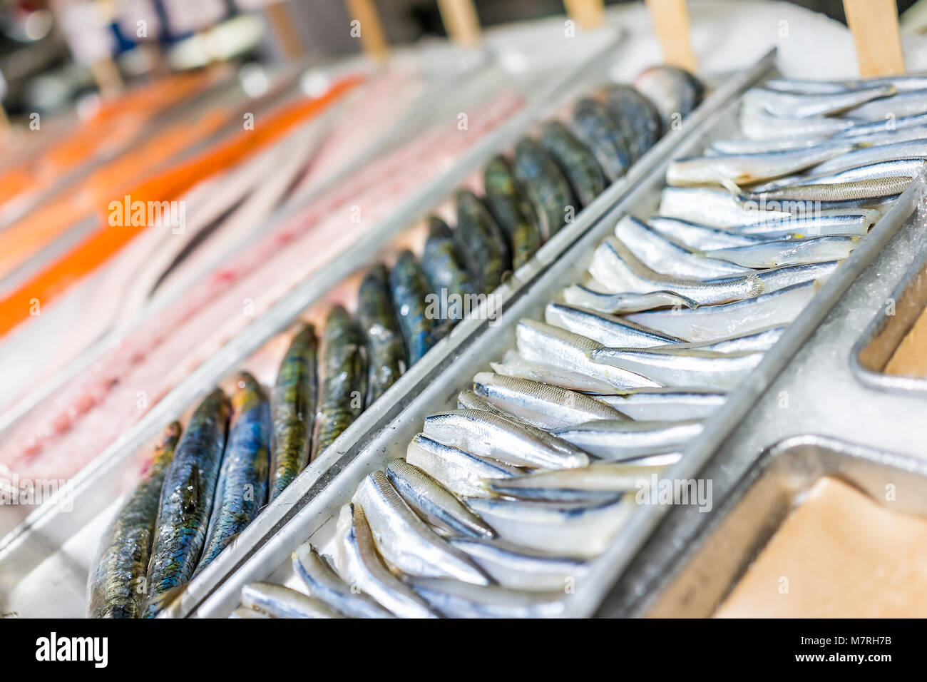 Whole fresh sardines hires stock photography and images Alamy