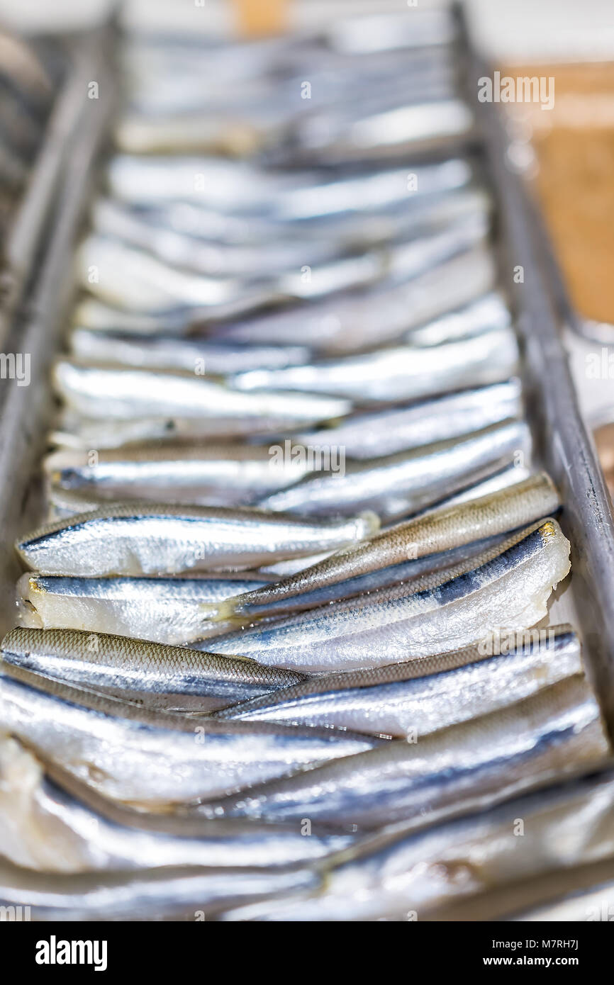 Closeup of many anchovies sardines small raw scales skin fish in