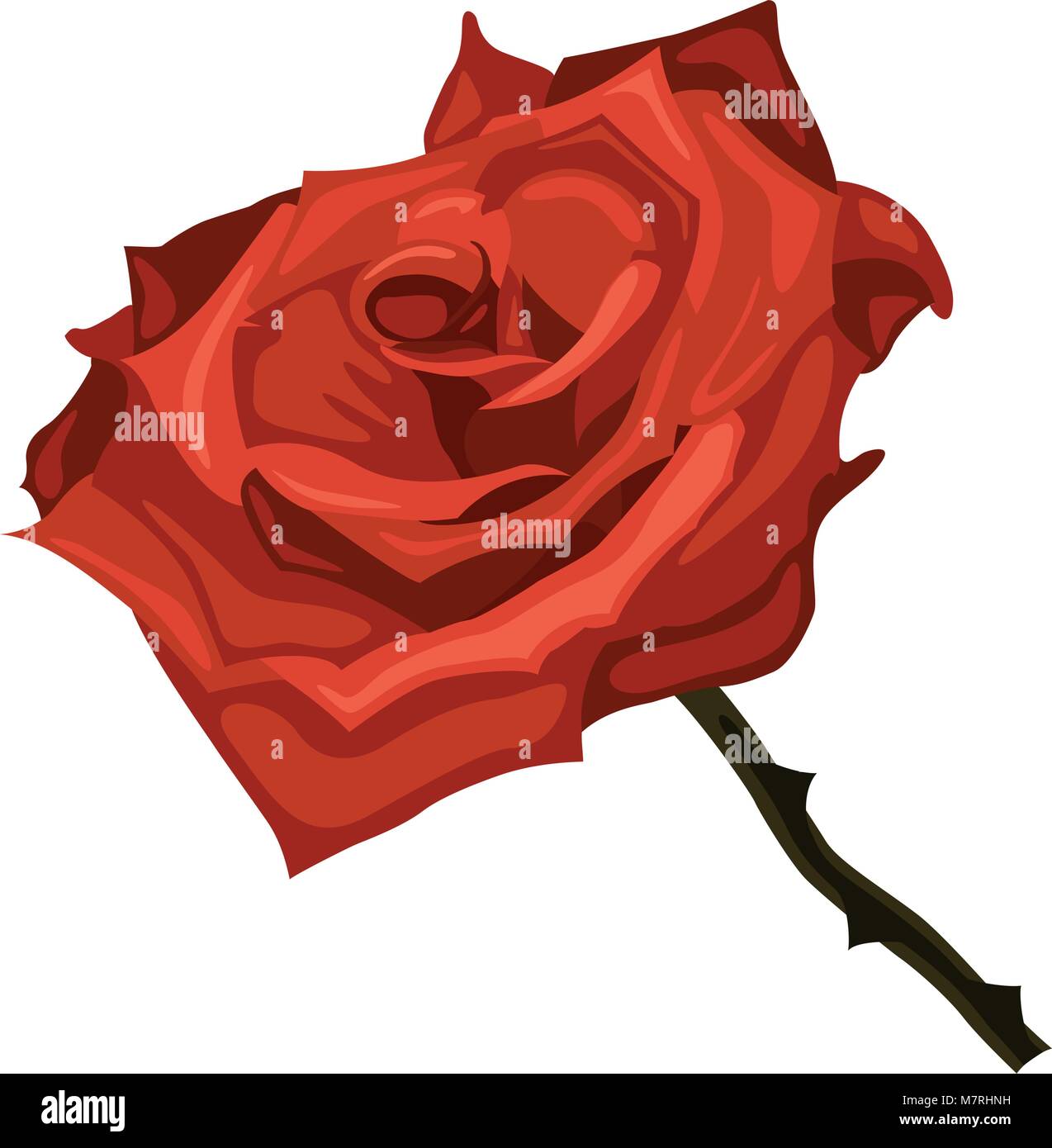 illustration of red rose on a white background Stock Vector