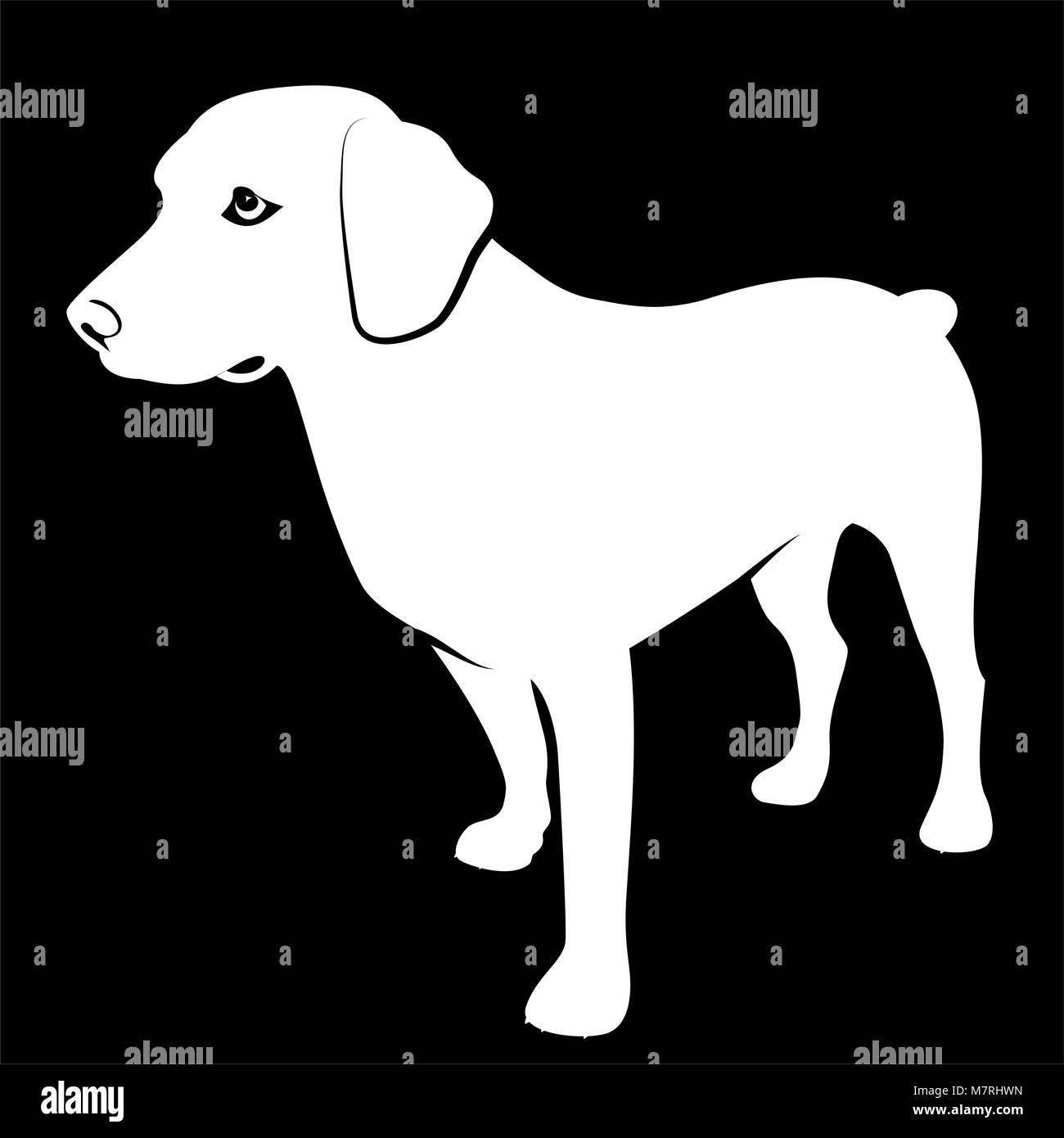 Hunting dog Stock Vector Images Alamy