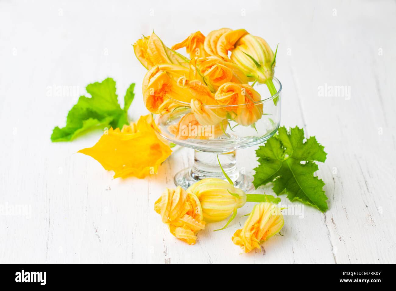 Edible zucchini flowers on white background Stock Photo Alamy