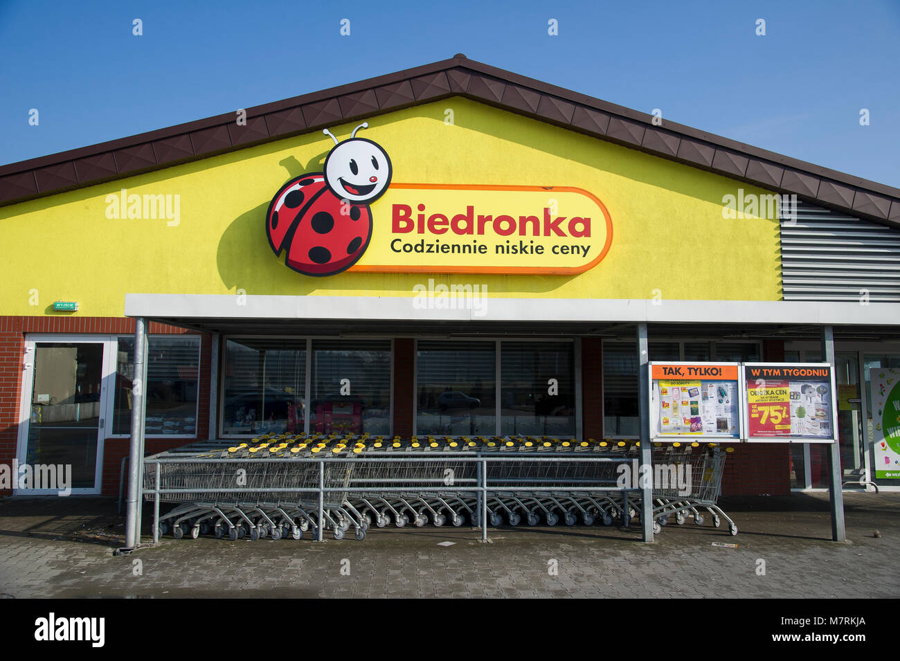 Parked shopping carts equipped with coin-operated locking mechanisms in ...