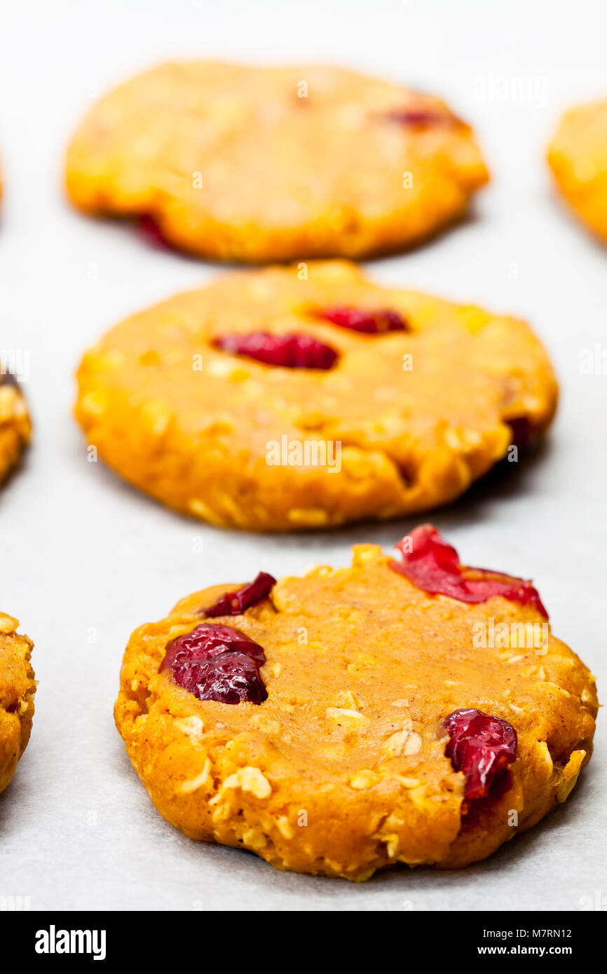 Homemade  pumpkin cookies on a tray Stock Photo