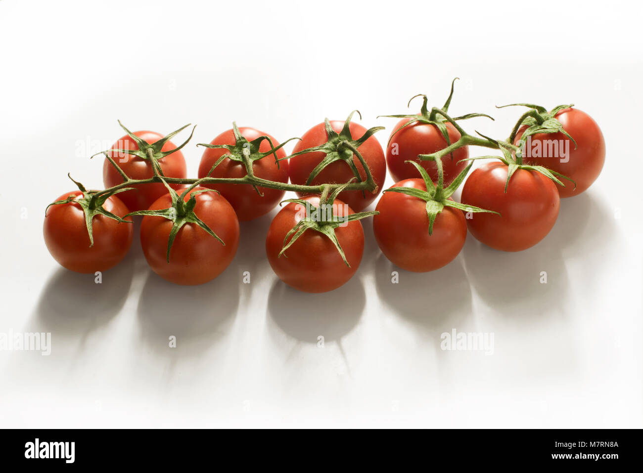 Small vine hires stock photography and images Alamy