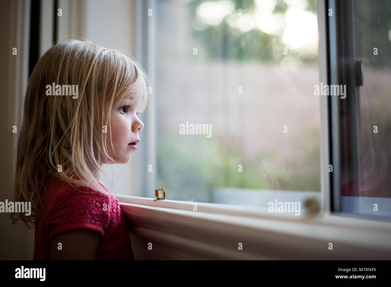 small child looking out the window at home during sunset Stock Photo