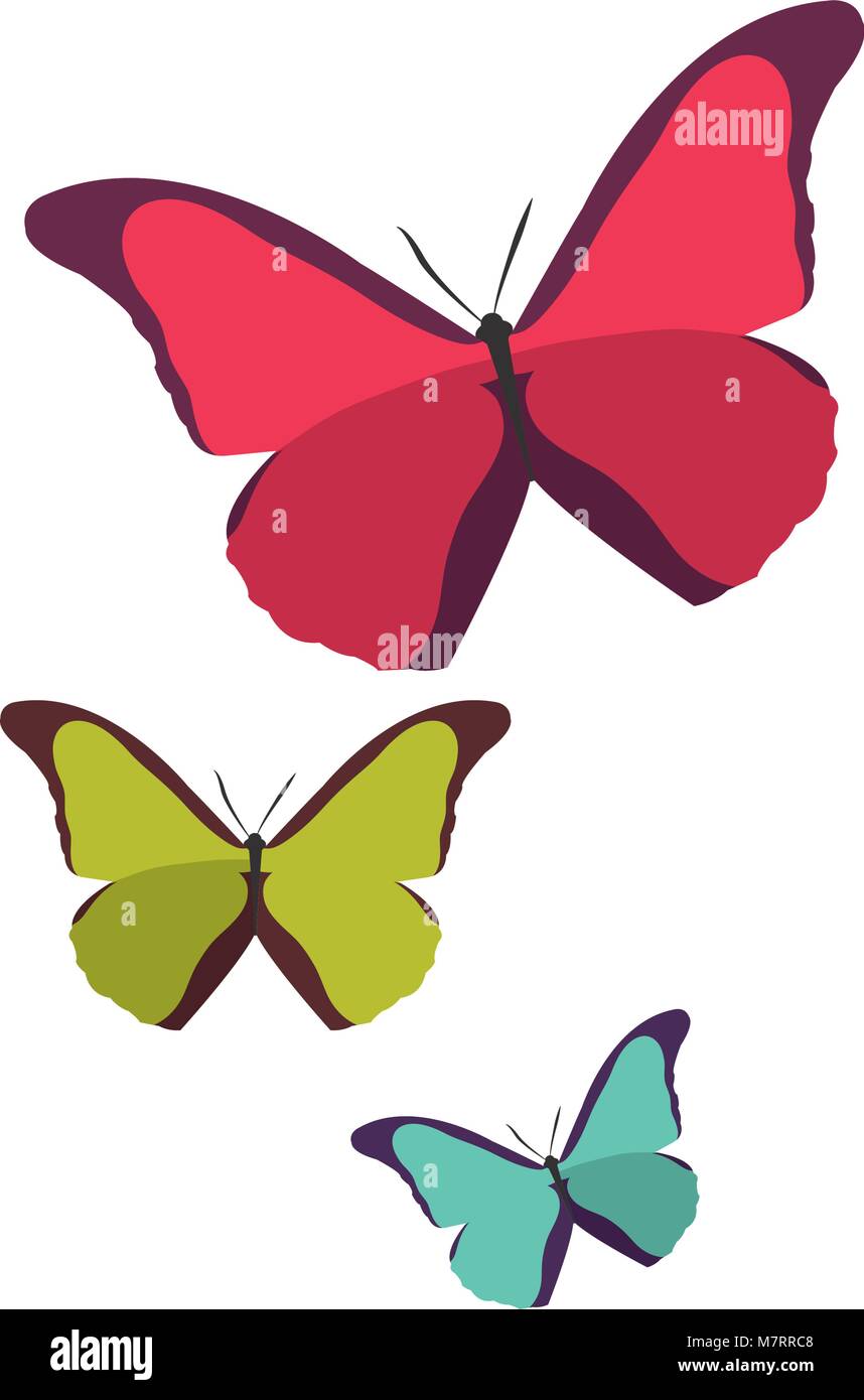 colorful beauty nature butterflys animal flying Stock Vector Image ...