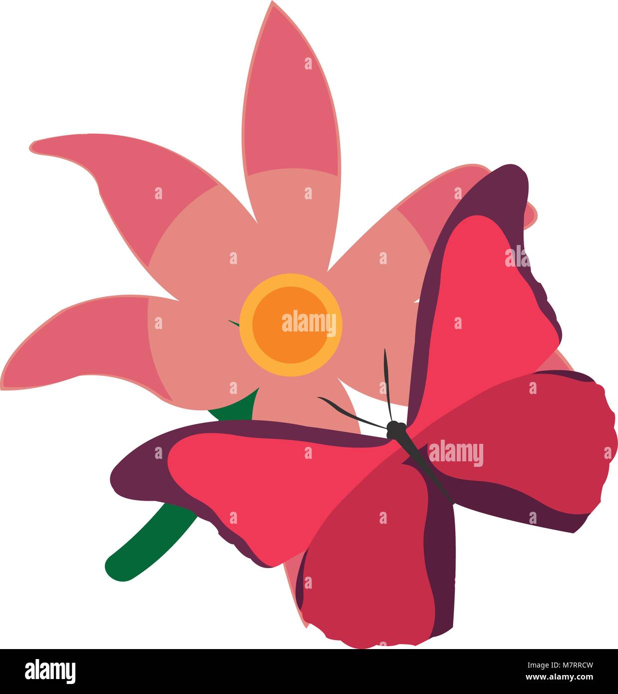 colorful cute flowers design with petals and butterfly Stock Vector ...
