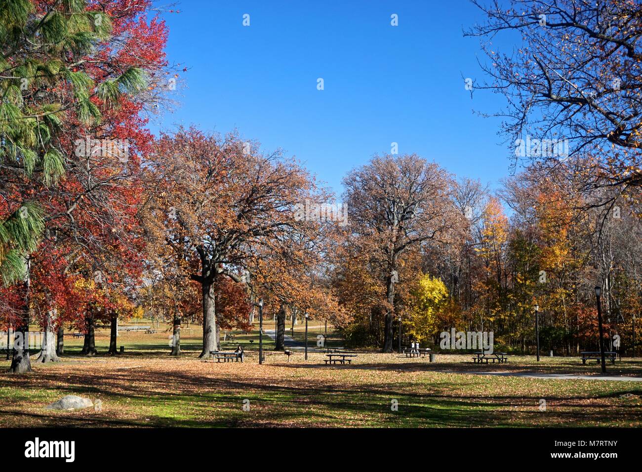 Pelham Bay Park, The Bronx, New York, NY, USA Picnic tables beneath