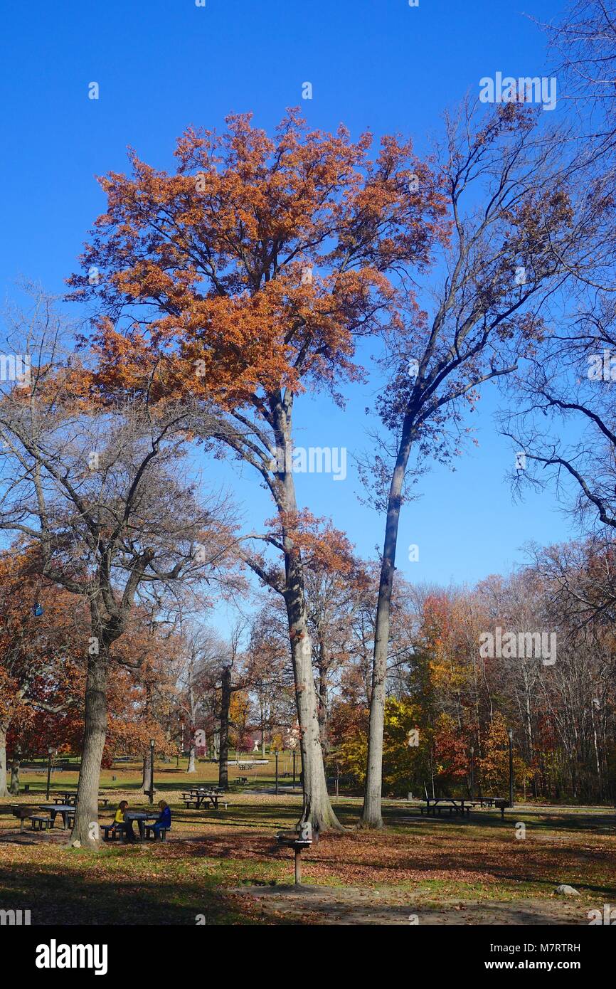Pelham Bay Park, The Bronx, New York, NY, USA Visitors enjoy lunch