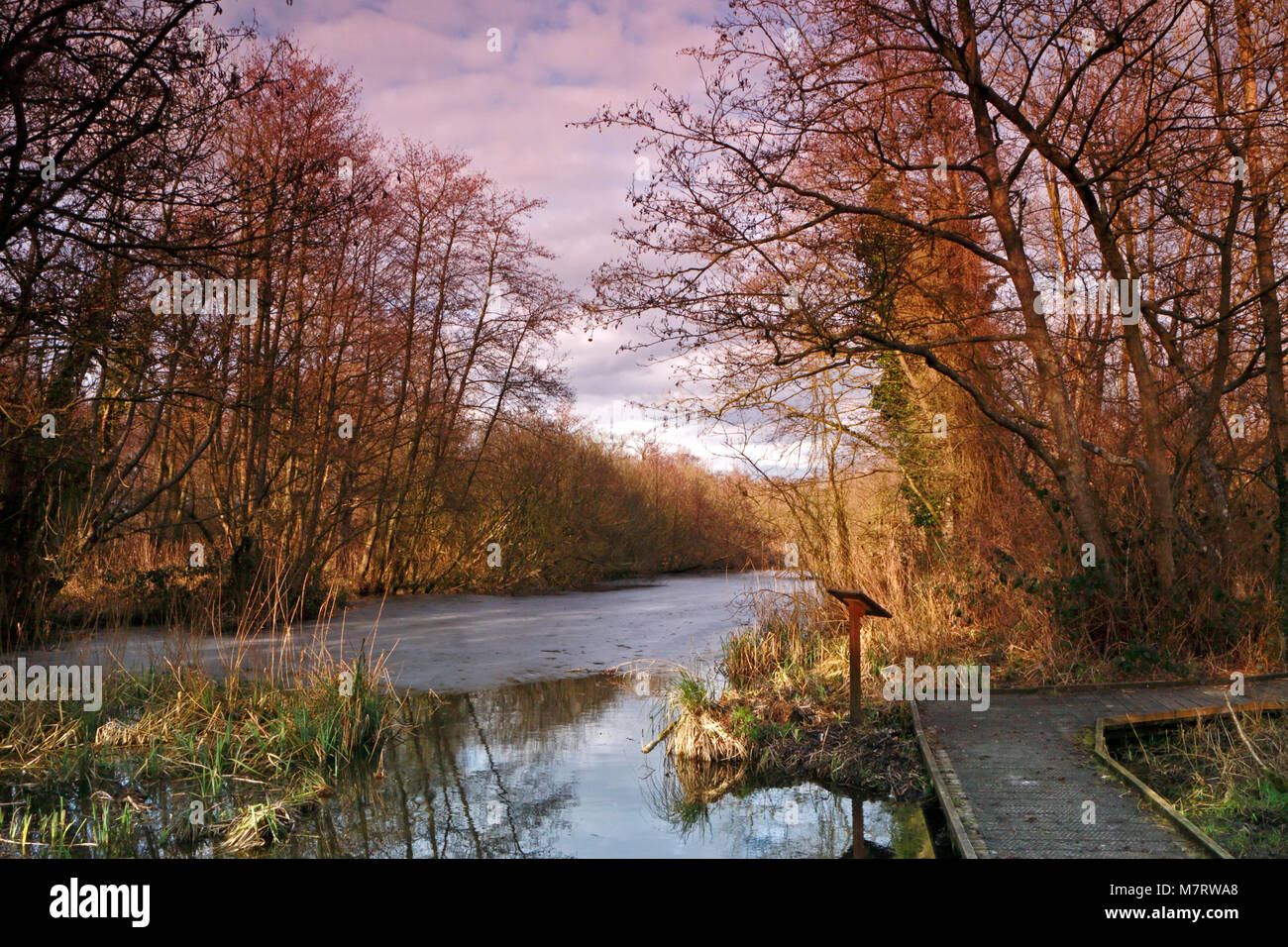 A creative view of a partly iced dyke with enhanced sky on the Norfolk Broads off Ranworth Broad, Norfolk, England, United Kingdom, Europe. Stock Photo