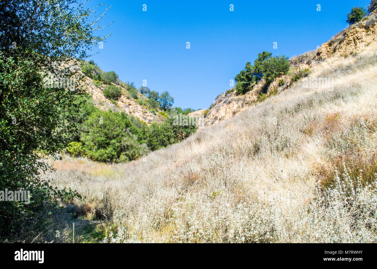 Malibu hills hi-res stock photography and images - Alamy