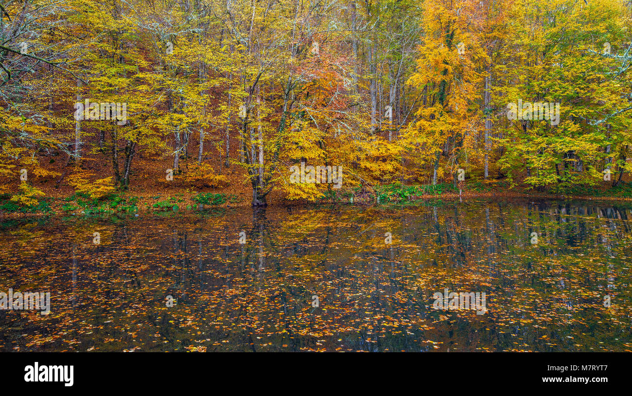 Landscape with Great Autumn Colors Stock Photo - Alamy