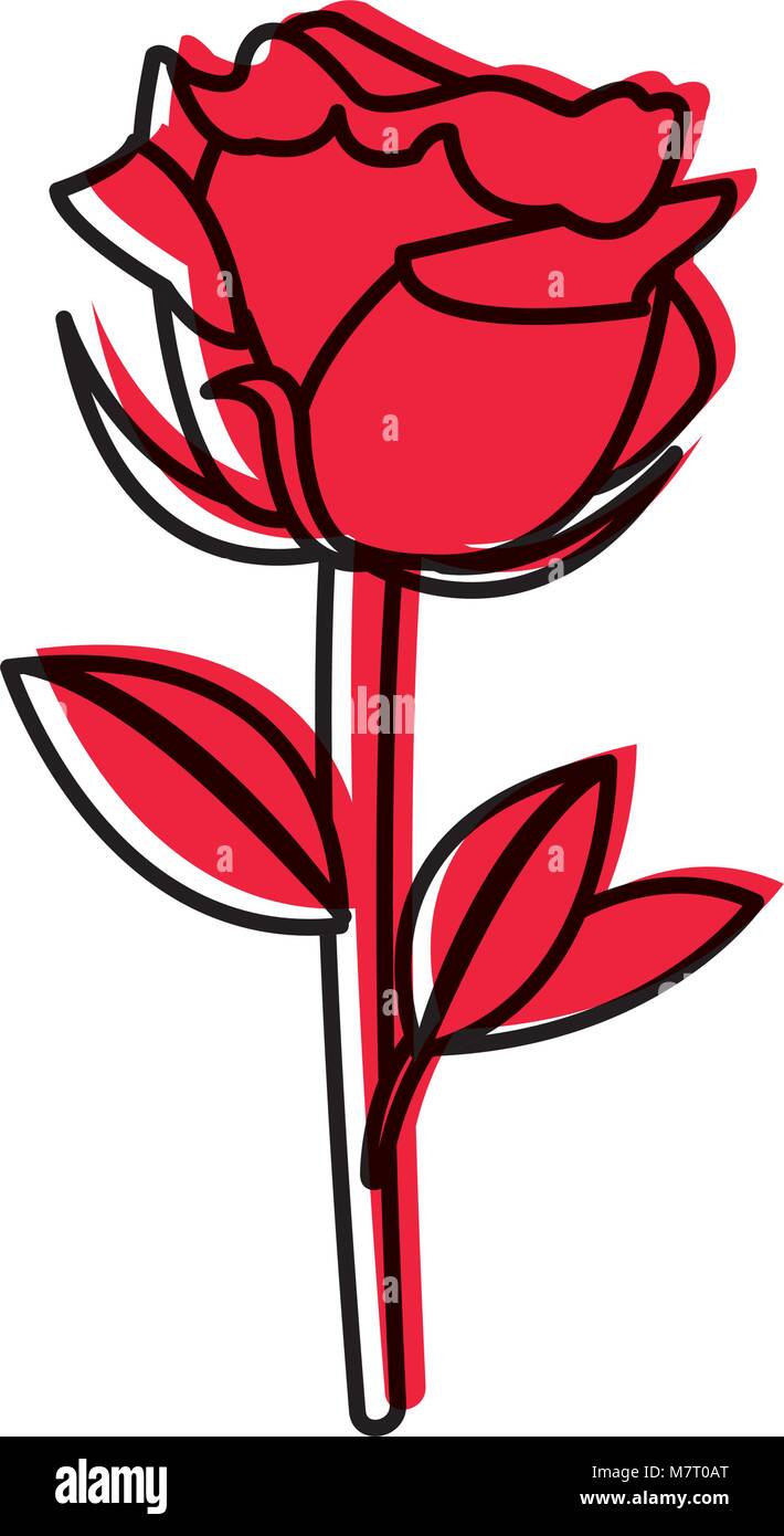 moved color nice nature rose with petals design Stock Vector Image ...
