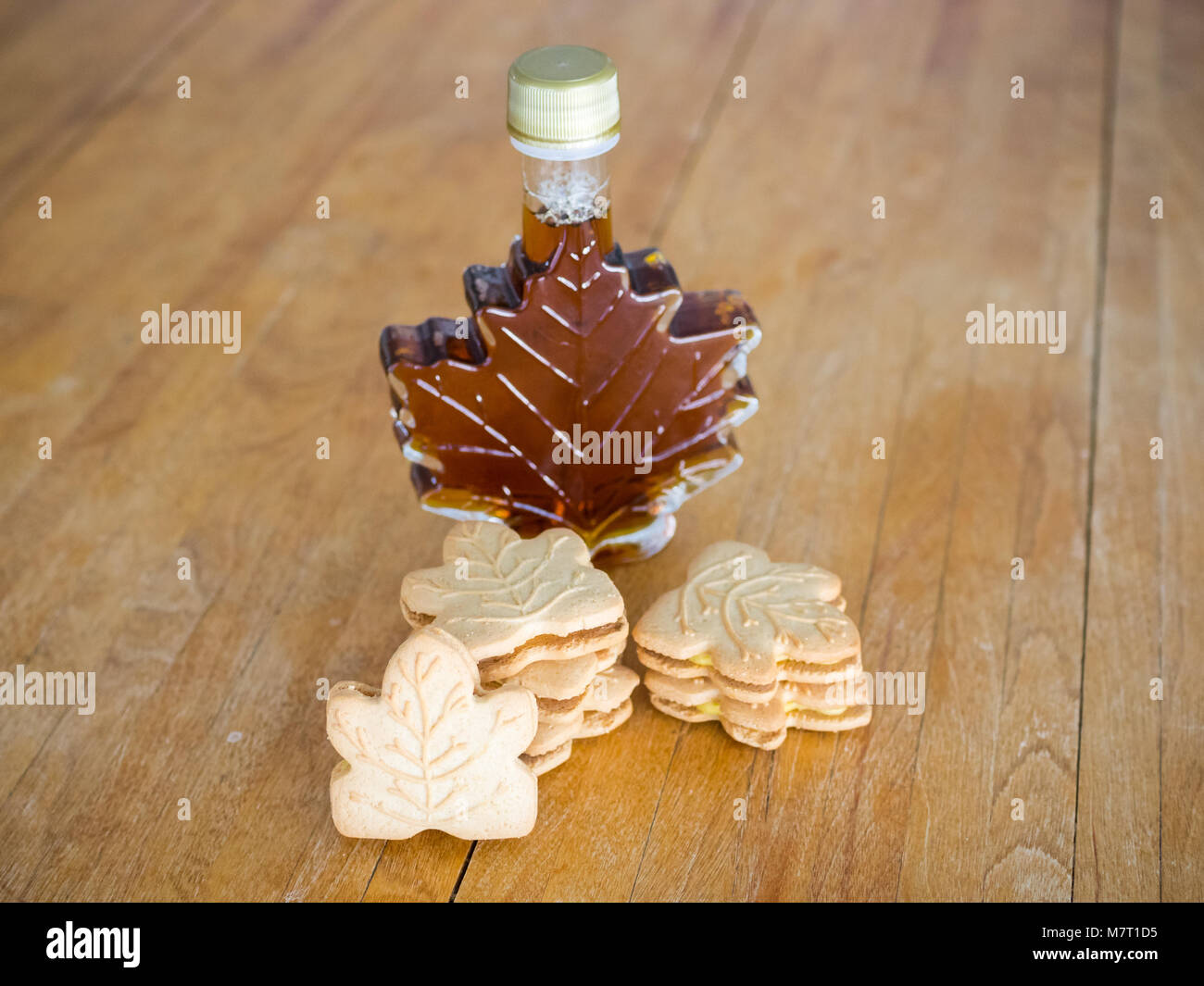 Delicious maple cookies (maple leaf cookies), made with real Canadian maple syrup. Stock Photo