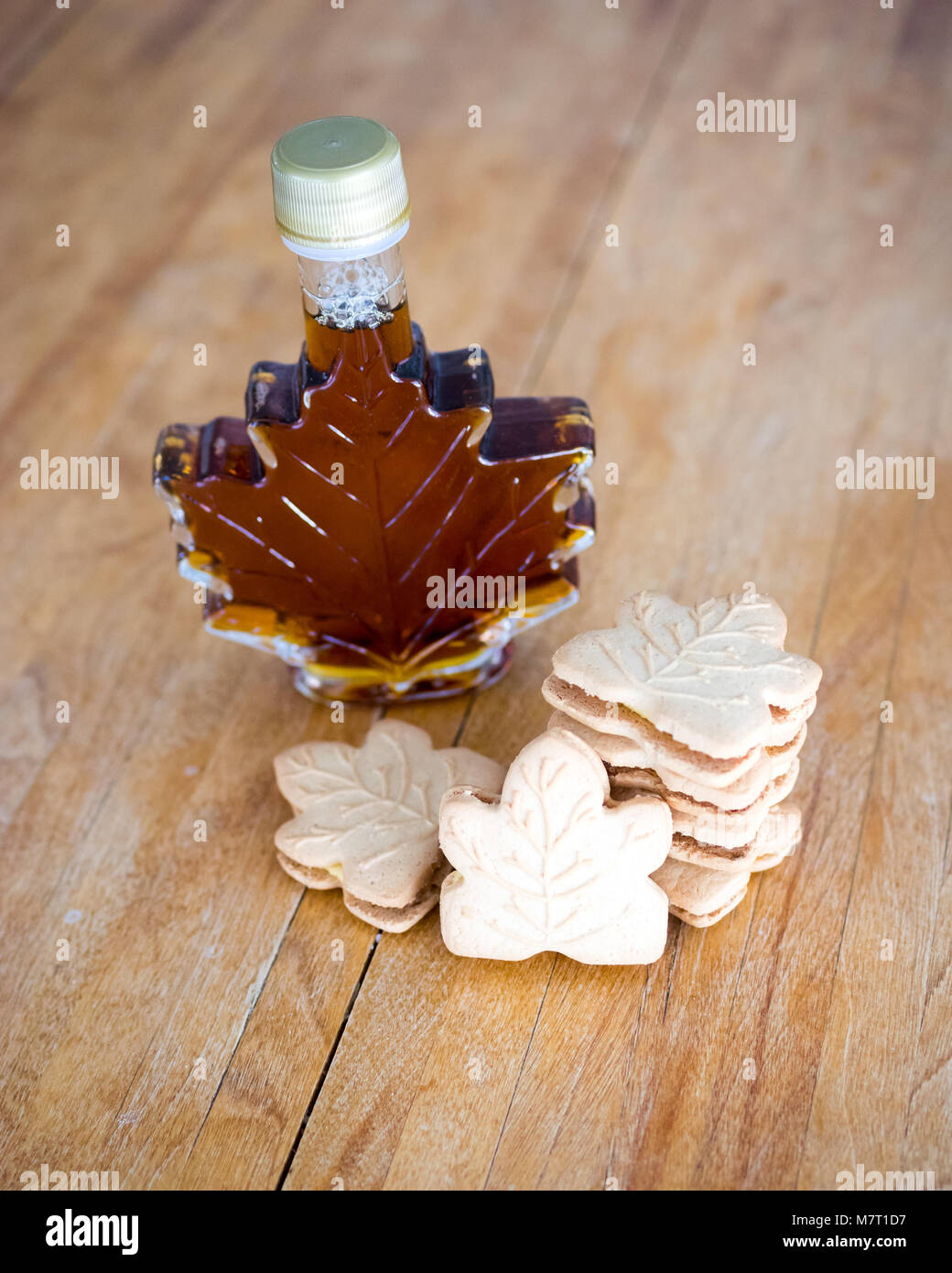 Delicious maple cookies (maple leaf cookies), made with real Canadian maple syrup. Stock Photo
