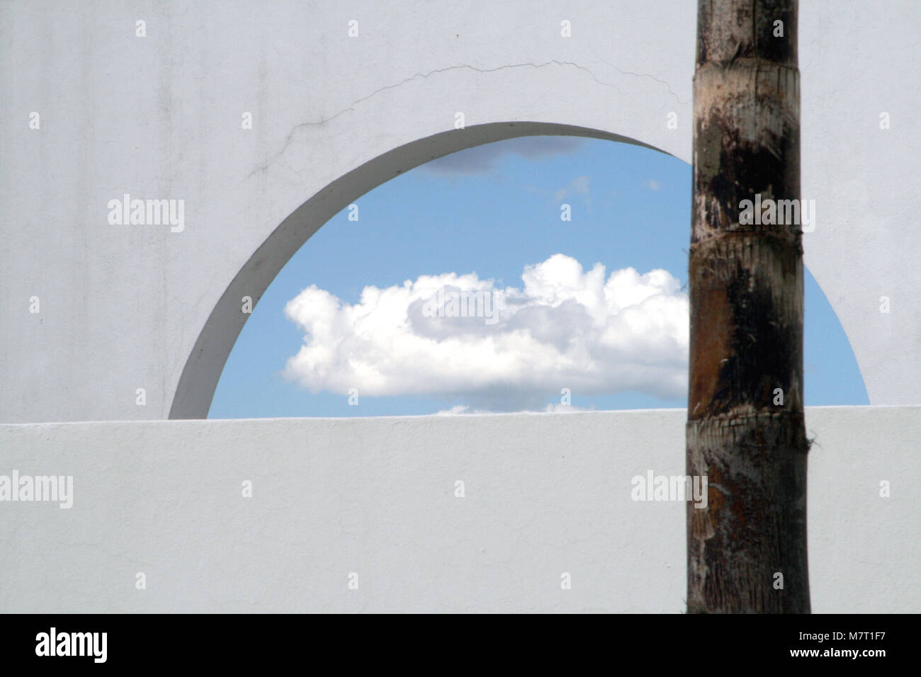 Cloud seen through and arch opening in a white wall. Palm tree trunk in the foreground Stock Photo
