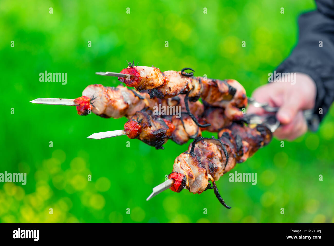 Шашлычок и лучок. Шашлык с луком на тарелке. Шашлык барбекю. Шашлык. Шашлыки на природе.