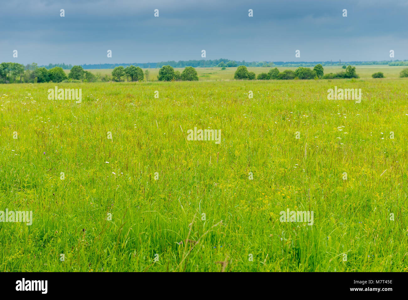 green grass in the spring field and heavy rain clouds in the sky Stock ...
