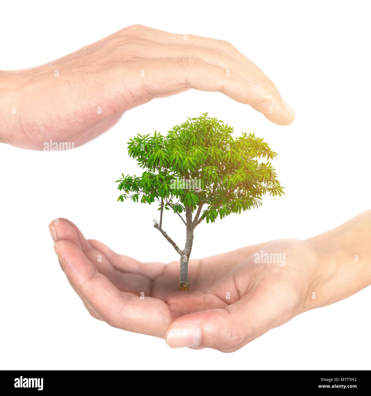 Hands concept for saving environment and save earth. Hands holding and