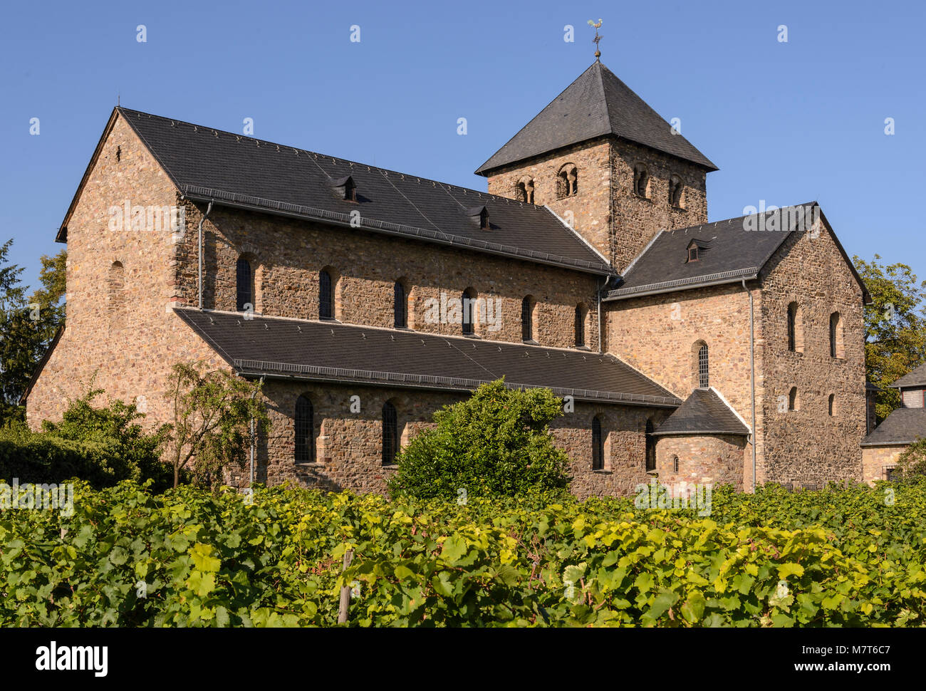 Mittelheim Basilika, Oestrich-Winkel, Rheingau, Hessen, Deutschland Stock Photo