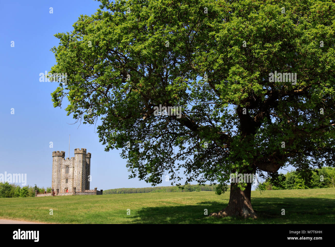 The Hiorne Tower, it was built for the Duke of Norfolk, Arundel Park, Arundel town, West Sussex County, England, UK Stock Photo