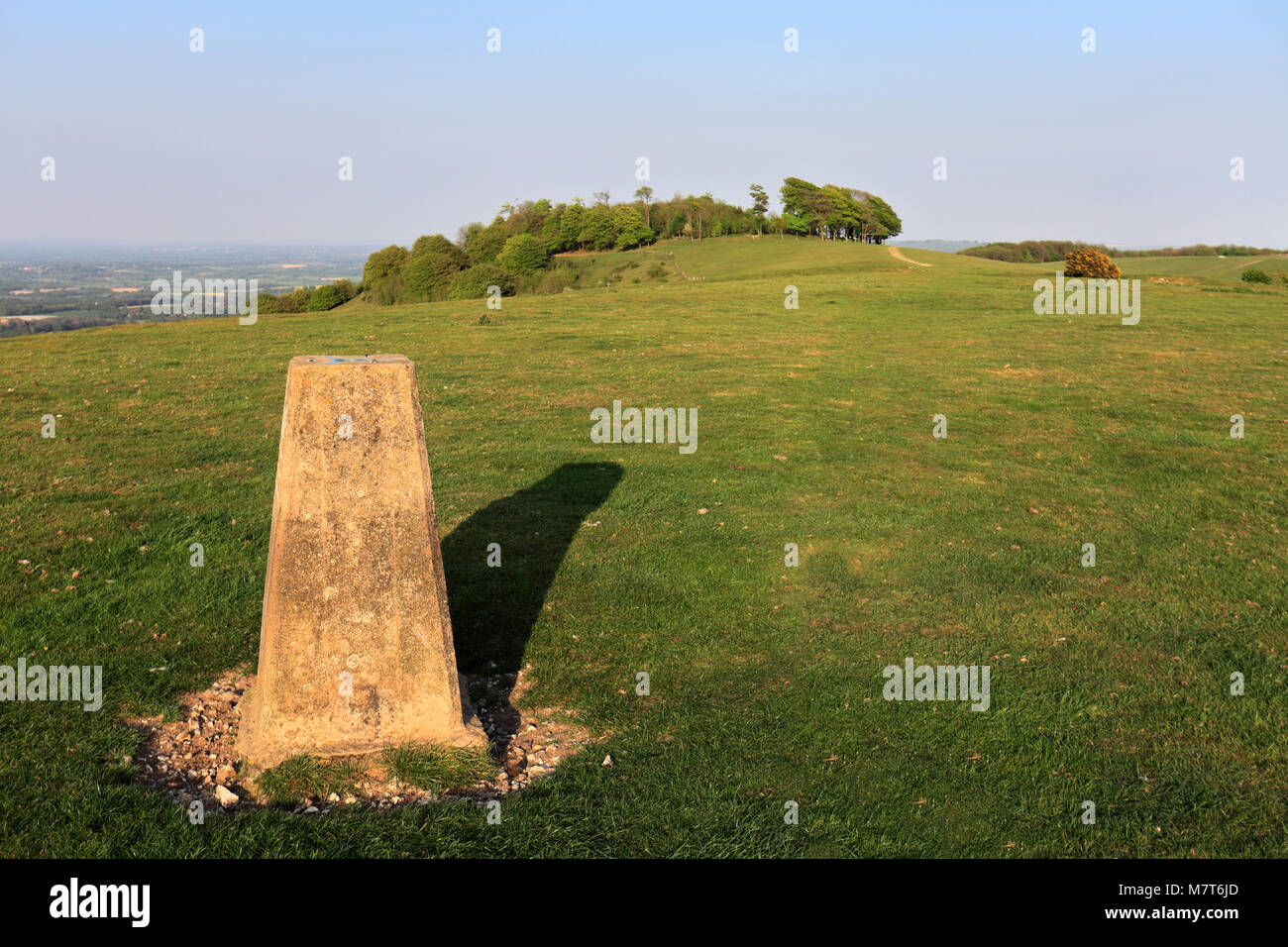 Ordinance Survey Trig Point, Chanctonbury Ring, South Downs National Park, Sussex, England, UK Stock Photo