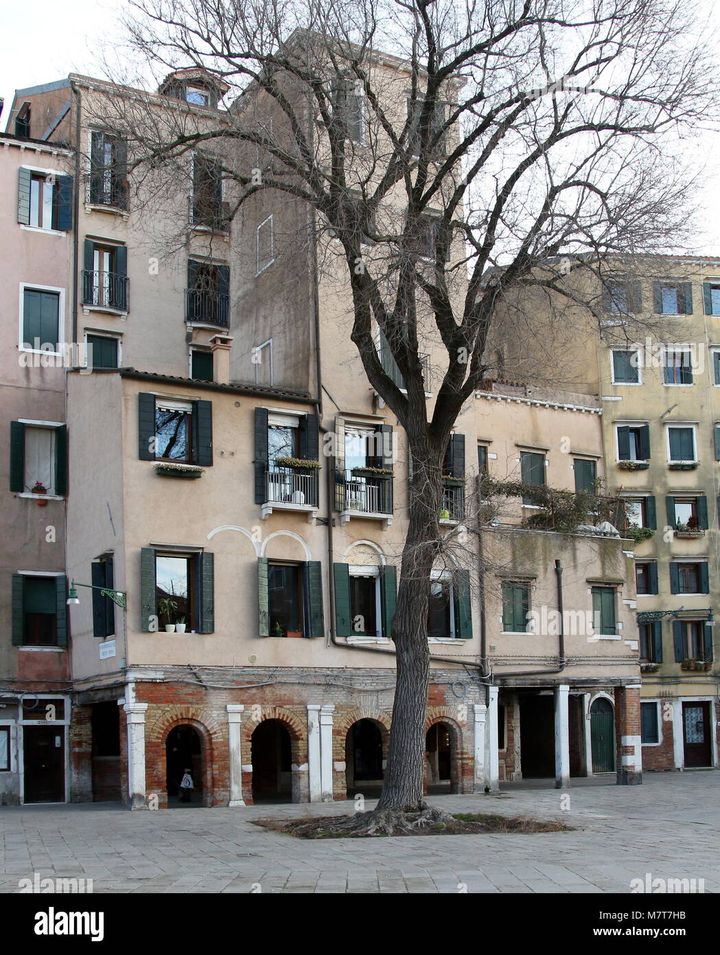 Venice, Italy - January 22, 2018. Buildings and tree in Campo del Ghetto Nuovo, central square in Jewish Ghetto. Stock Photo