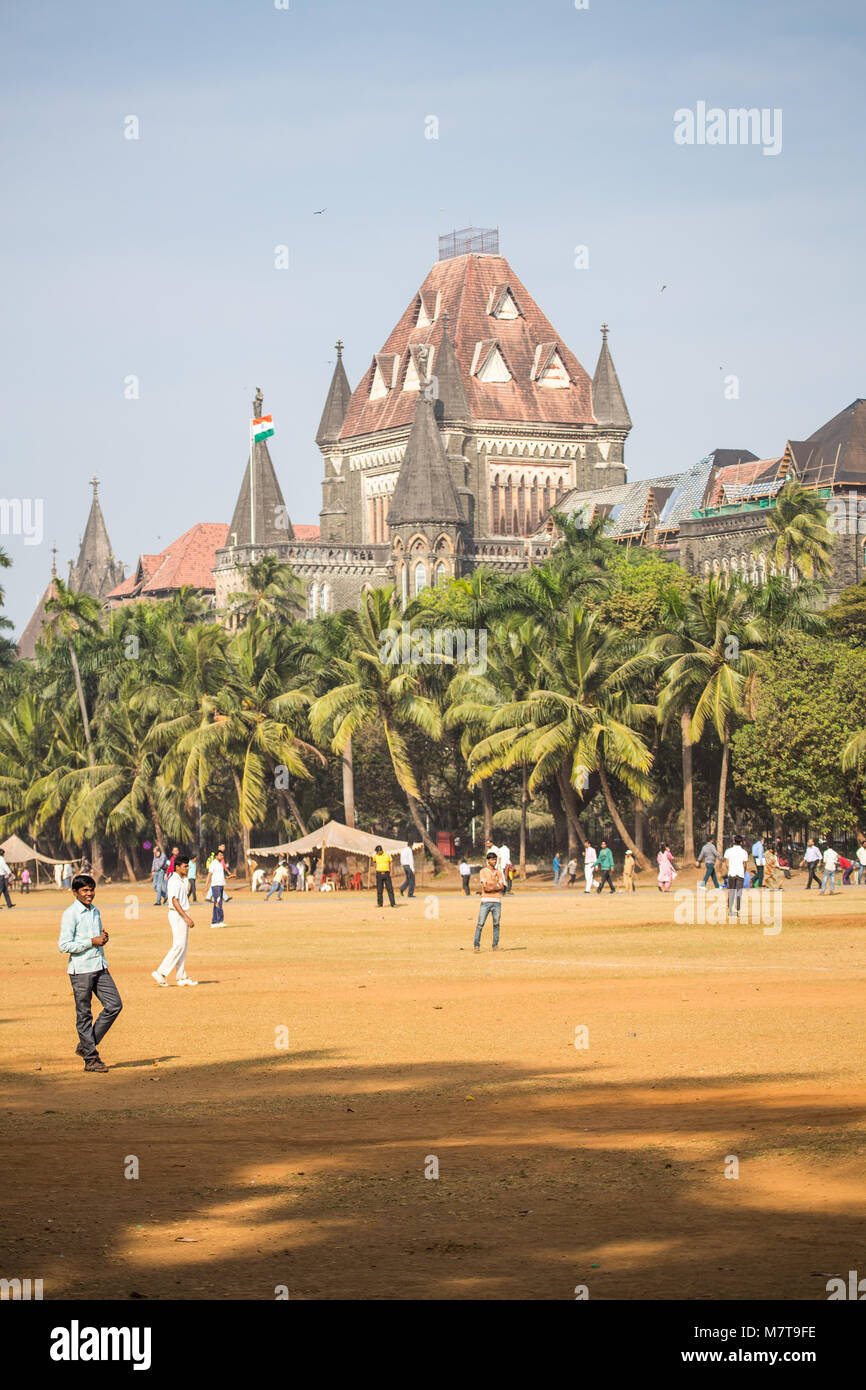 Cricket bat tree hires stock photography and images Alamy