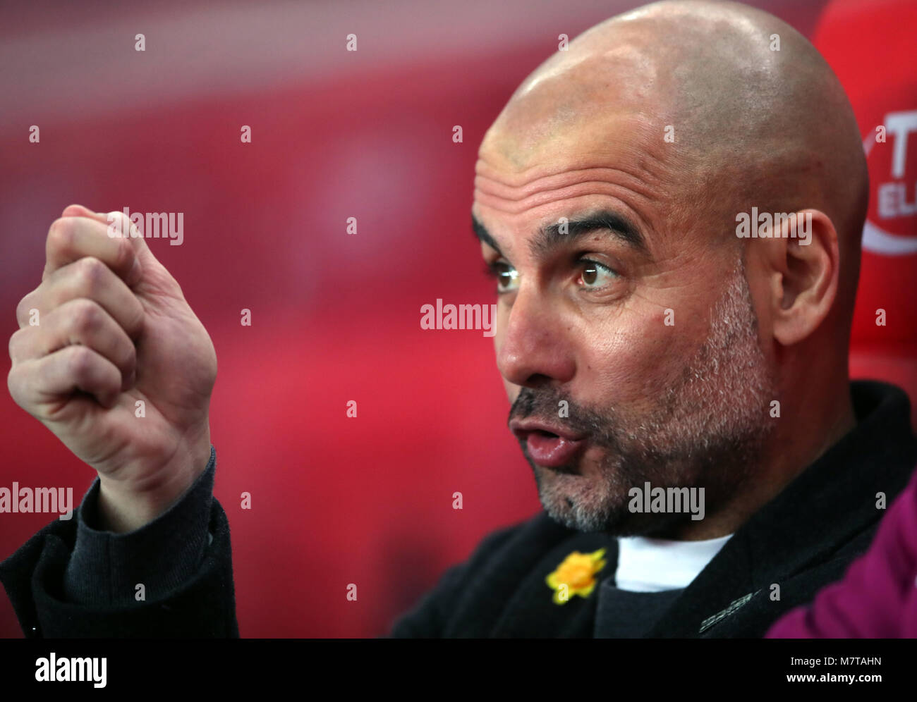 Manchester City Manager Pep Guardiola With A Yellow Flower On His Jacket Before The Premier League Match At The Bet365 Stadium Stoke Stock Photo Alamy