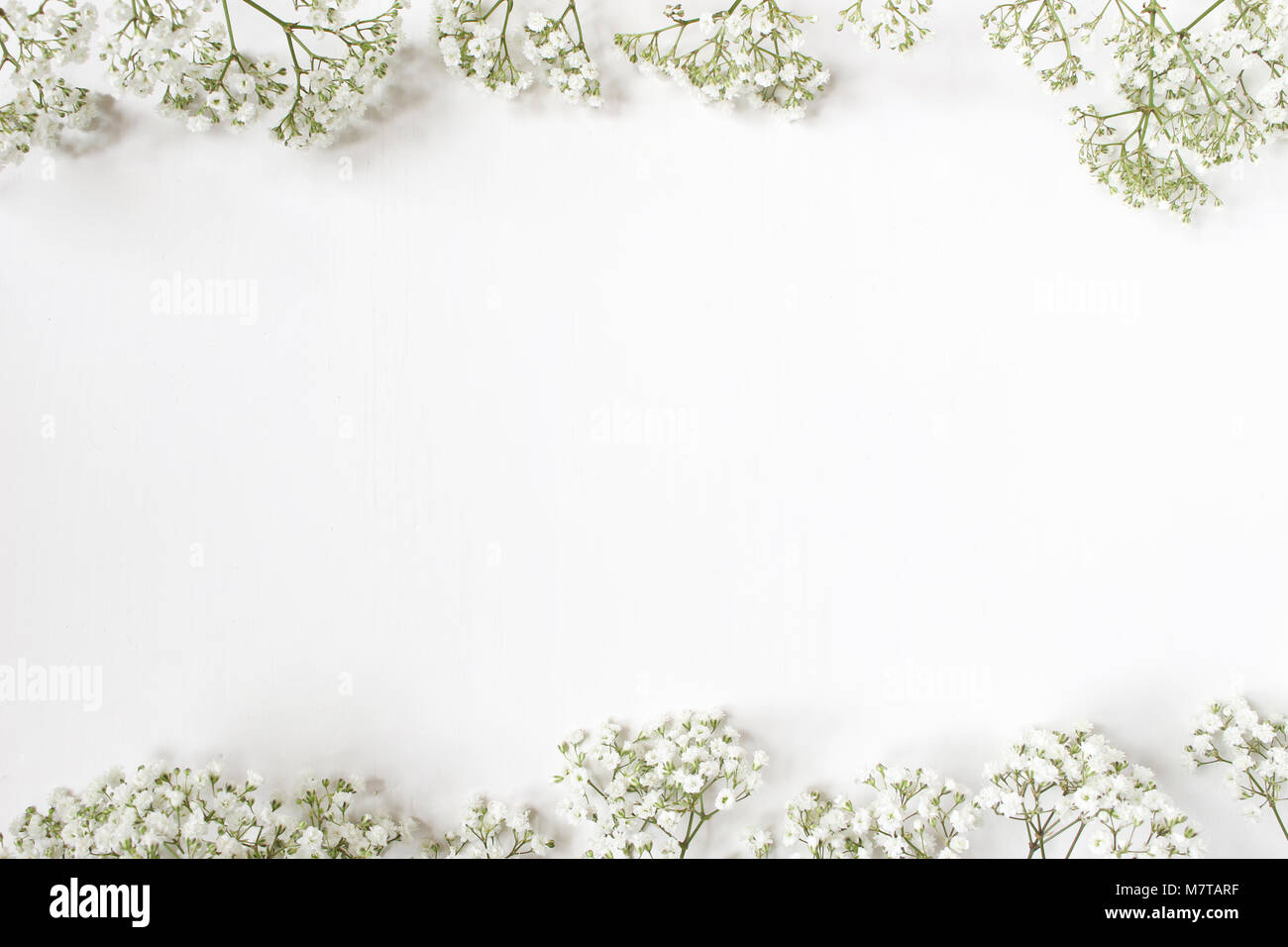 Styled stock photo. Feminine wedding desktop with baby's breath Gypsophila  flowers on white background. Empty space. Floral frame, web banner, top vie  Stock Photo - Alamy
