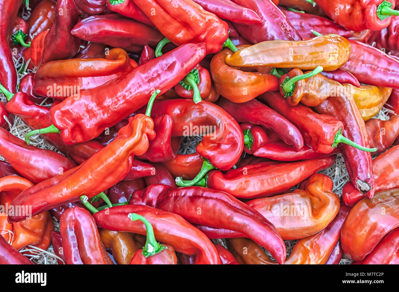 a huge amount of red peppers Stock Photo