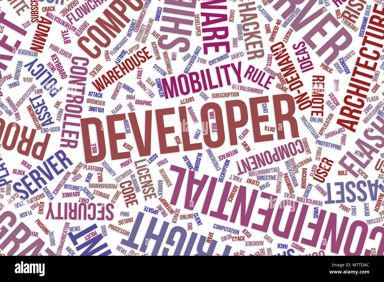 Developer, IT, information technology conceptual word cloud for for ...