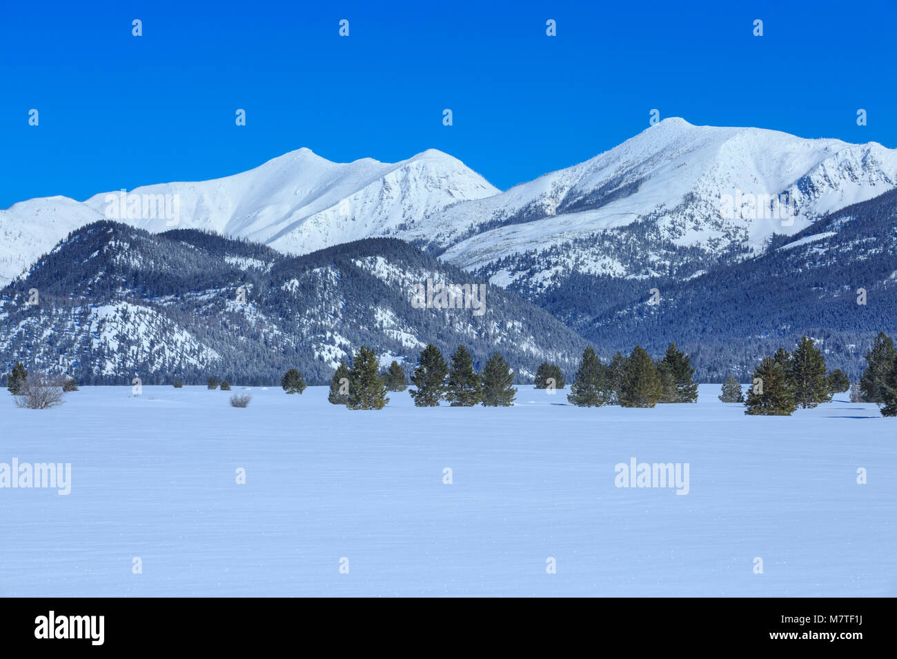 mountains bordering the scapegoat wilderness rising above kleinschmidt flat in winter near ovando, montana Stock Photo