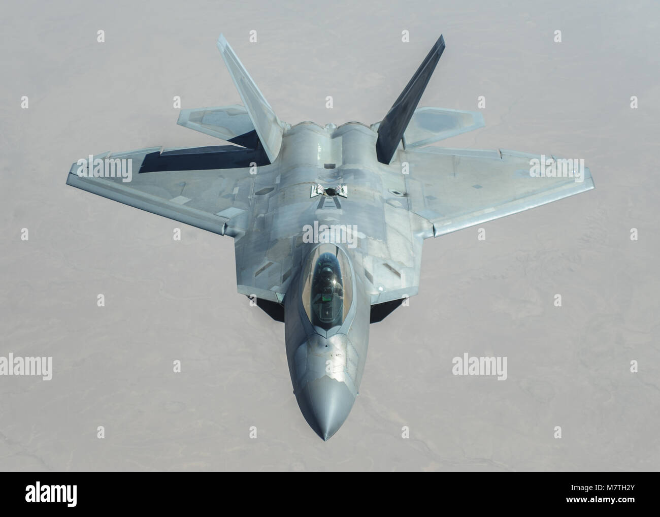 A U.S. Air Force F-22 Raptor from the 95th Expeditionary Fighter ...