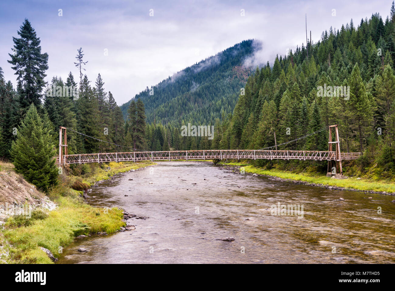Suspension bridge over Lochsa River, for foot and pack horse access, Northwest Passage Scenic Byway, Clearwater National Forest, Idaho, USA Stock Photo