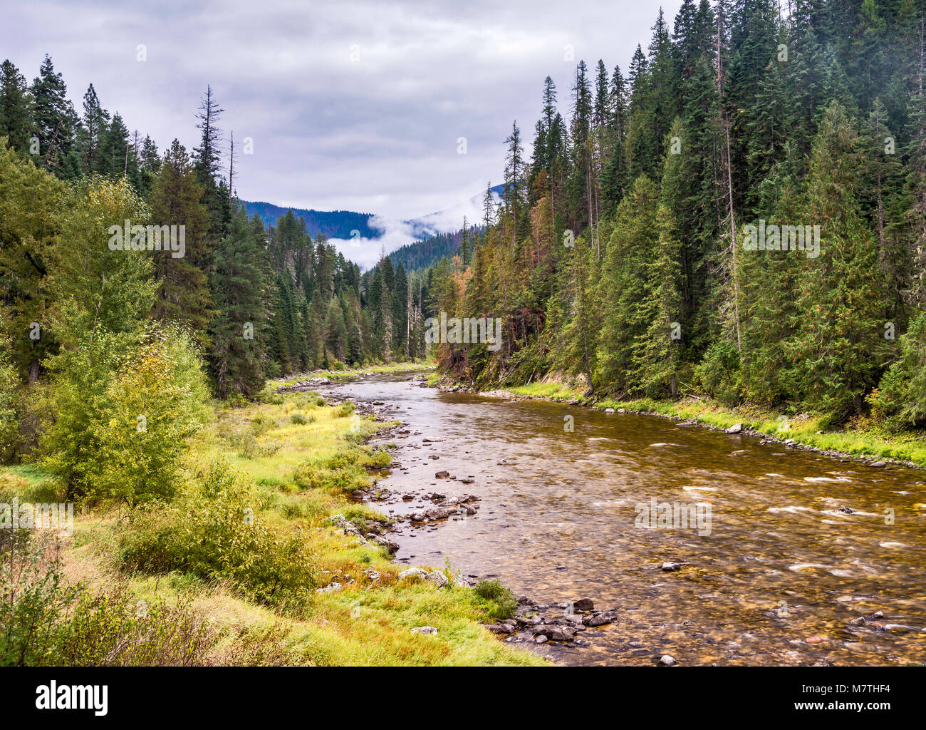 Lochsa River, Clearwater Mountains, Lochsa Wild and Scenic River Corridor, Northwest Passage Scenic Byway, Clearwater National Forest, Idaho, USA Stock Photo