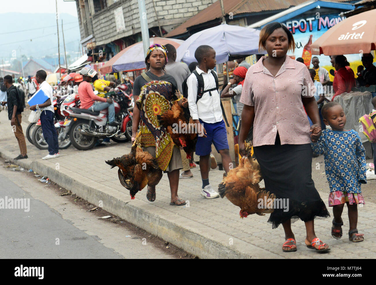 Congolese women holding chickens in Goma, D.R.C Stock Photo