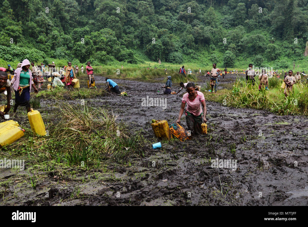 Congolese villagers fill their water supply from this Muddy pond. The only good water source they have. Stock Photo