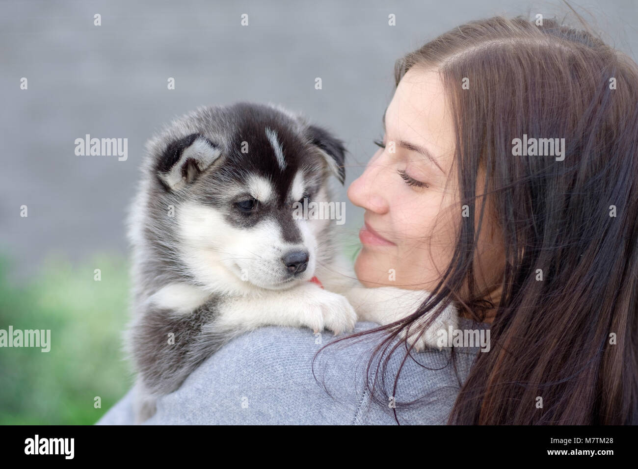 Young women holds her best friend little pet puppy of husky in her arms. love for dogs Stock Photo