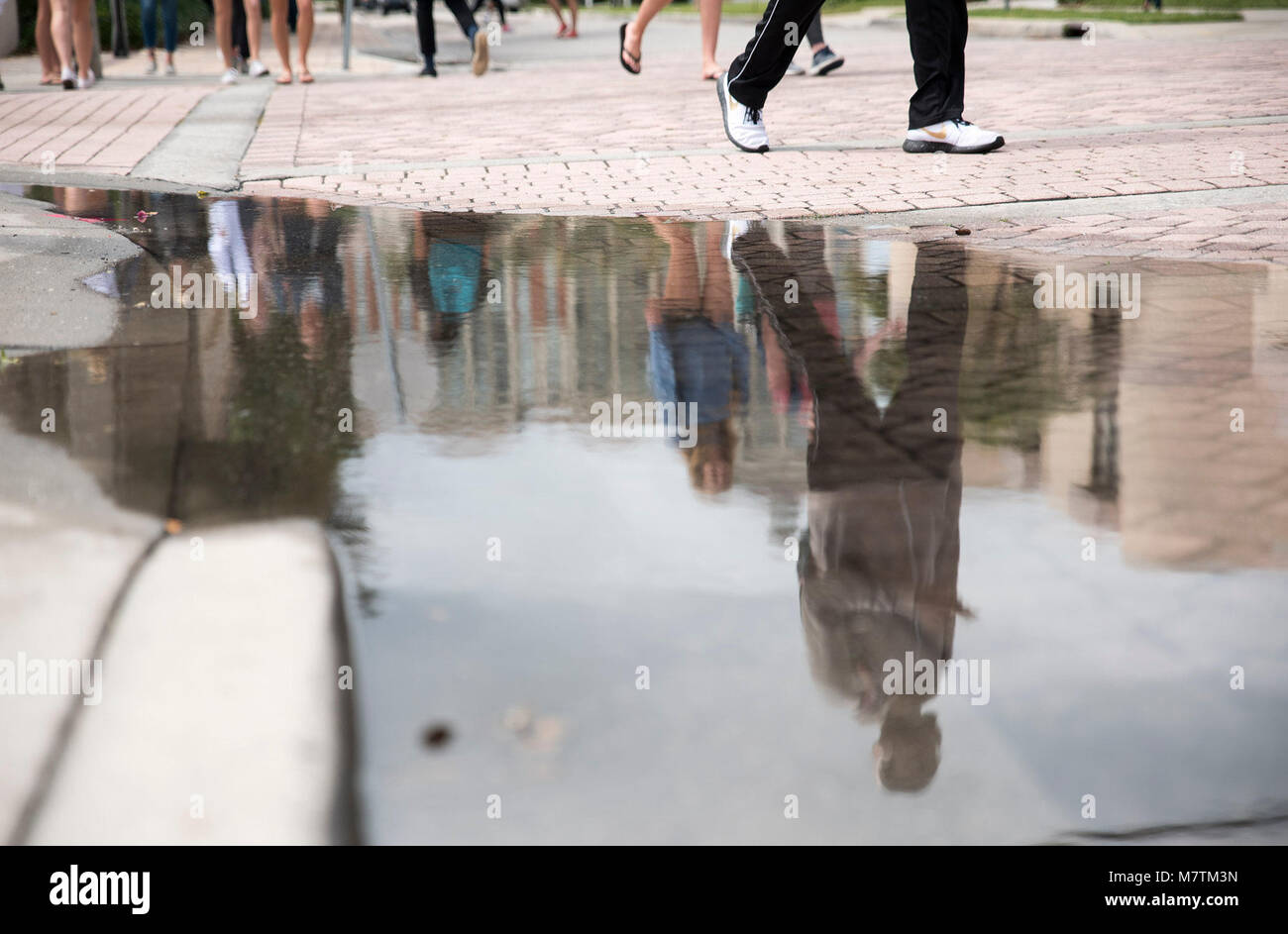 March 12, 2018 - West Palm Beach, Florida, U.S. - Passers-by on Vallowe Court on the Palm Beach Atlantic University campus walk past their reflections in a puddle after an afternoon shower in West Palm Beach, Fla., on Monday, March 12, 2018. (Credit Image: © Andres Leiva/The Palm Beach Post via ZUMA Wire) Stock Photo