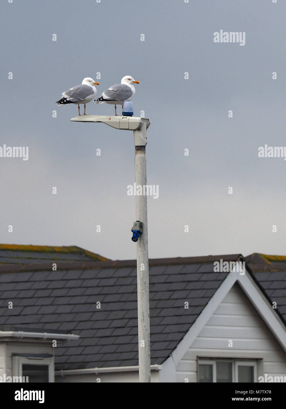 Sheerness, Kent, UK. 13th March, 2018. UK Weather: an overcast and quite warm morning in Sheerness with a few sunny spells. Credit: James Bell/Alamy Live News Stock Photo